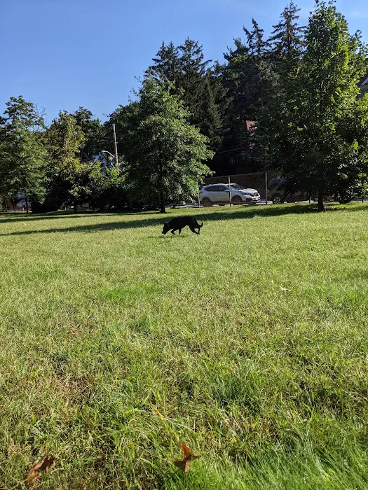 Cold Spring Dog Park - Parking 6