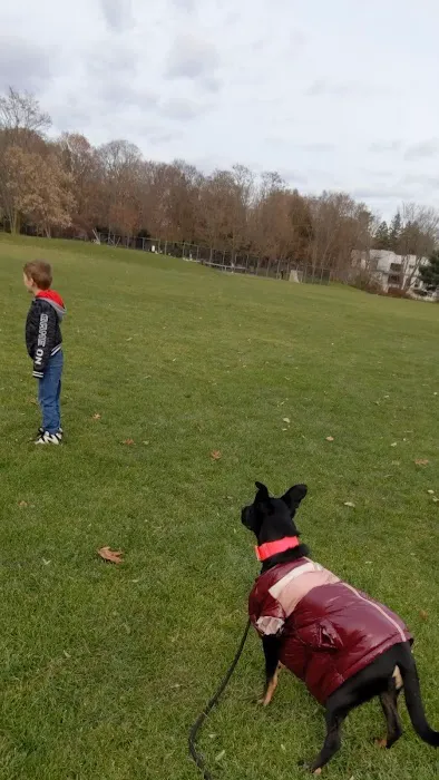 Cold Spring Dog Park - Parking 1