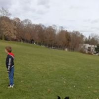 Cold Spring Dog Park - Parking ico