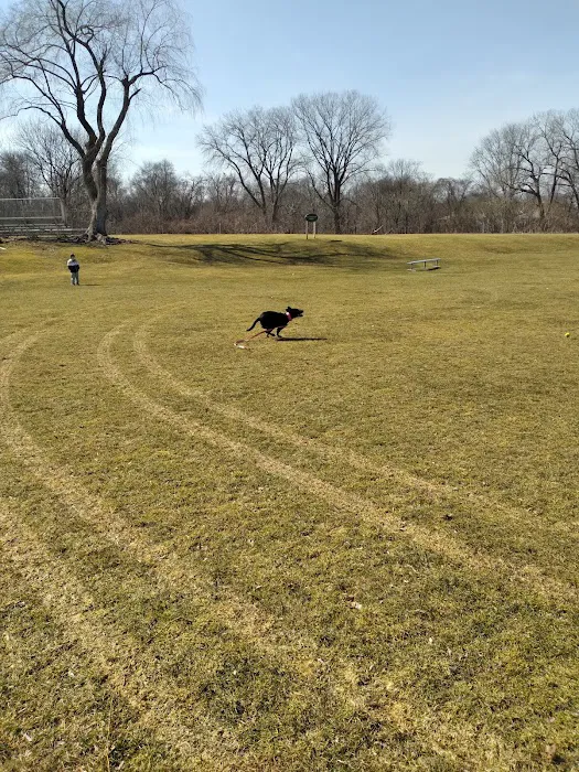 Cold Spring Dog Park - Parking 3