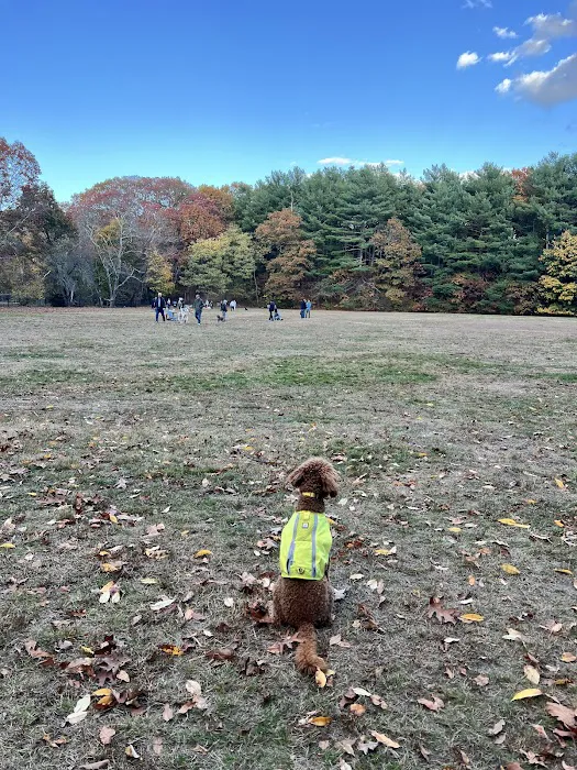 Cold Spring Dog Park - Parking 7