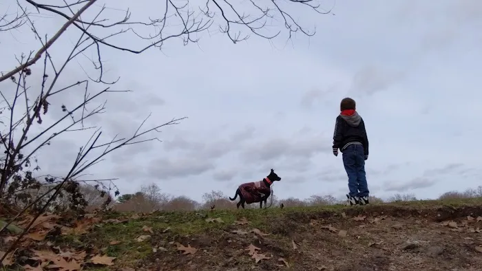 Cold Spring Dog Park - Parking 10