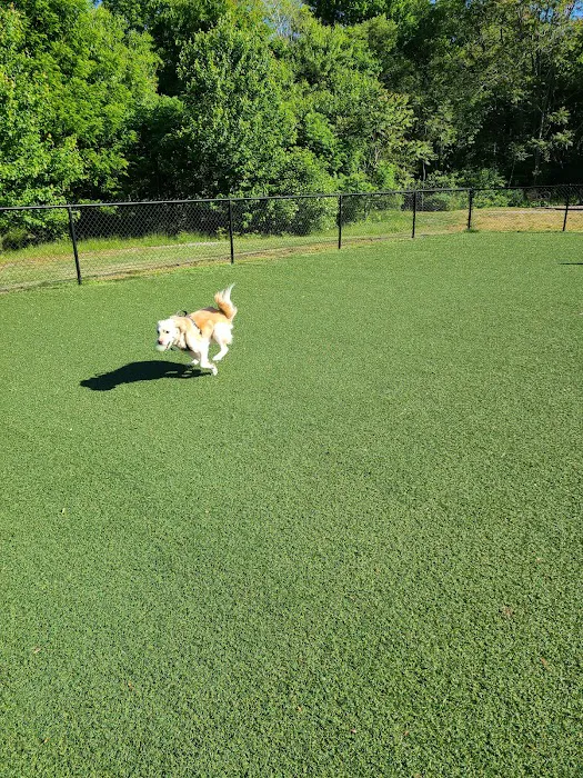 Bell Watertown Public Dog Park 2