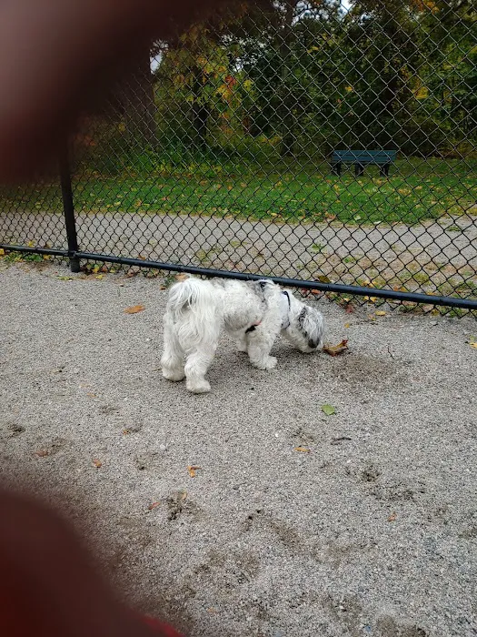 Waltham City Dog Ranch 6