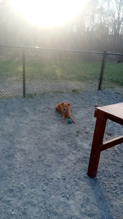 Waltham City Dog Ranch 1