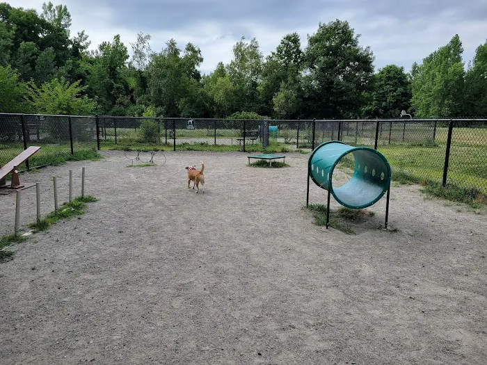 Waltham City Dog Ranch 10