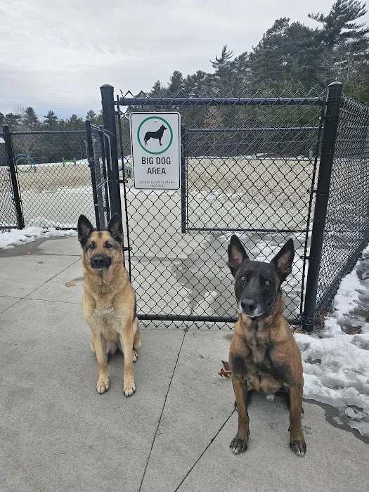 Wareham Dog Park 1