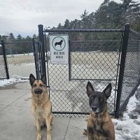 Wareham Dog Park ico