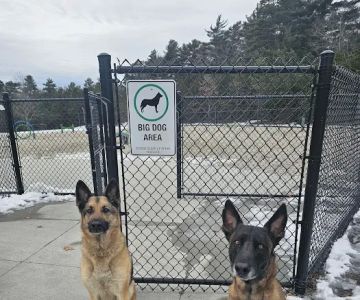 Wareham Dog Park