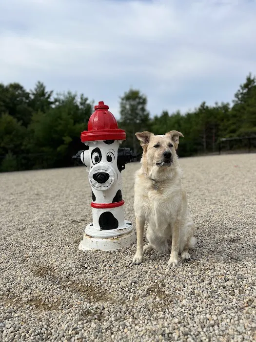 Wareham Dog Park 4