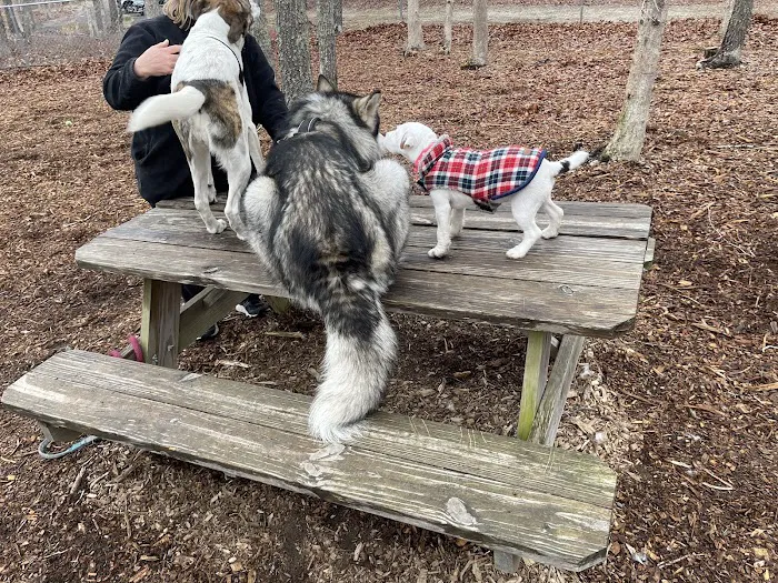 John G. Rogers Dog Park 5