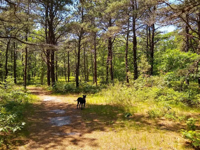 John G. Rogers Dog Park 1