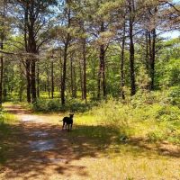 John G. Rogers Dog Park ico