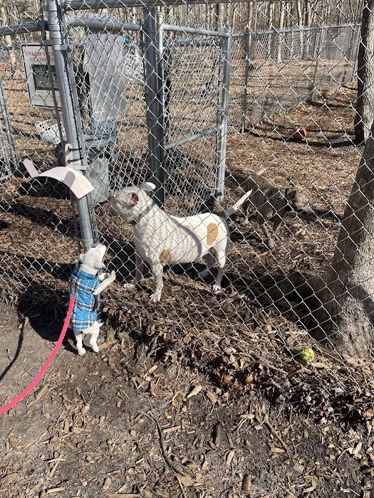 John G. Rogers Dog Park 7