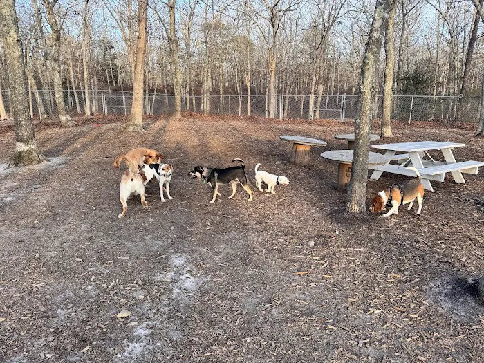 John G. Rogers Dog Park 3