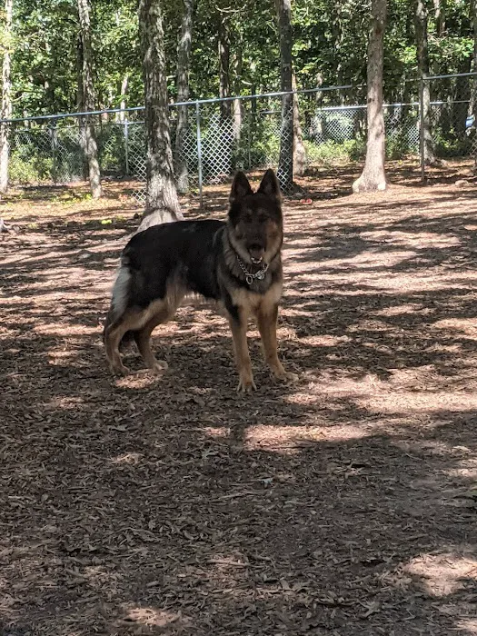 John G. Rogers Dog Park 10