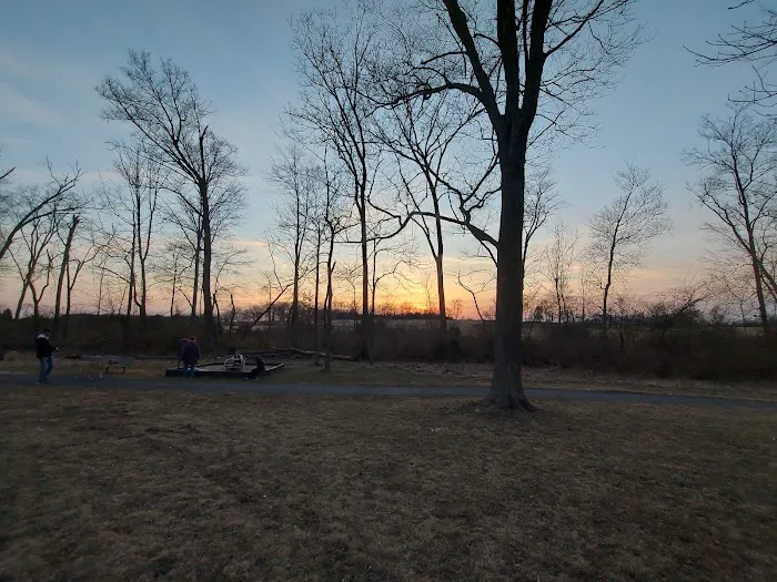 Dog Park 6