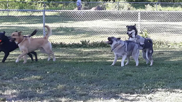 Dog Park 2