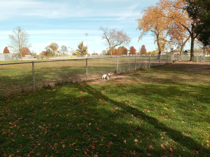 Dog Park 8