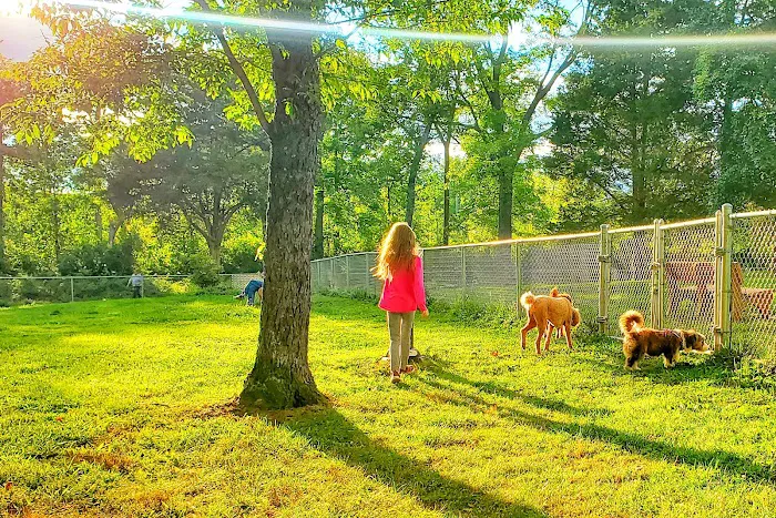 Dog Park 10
