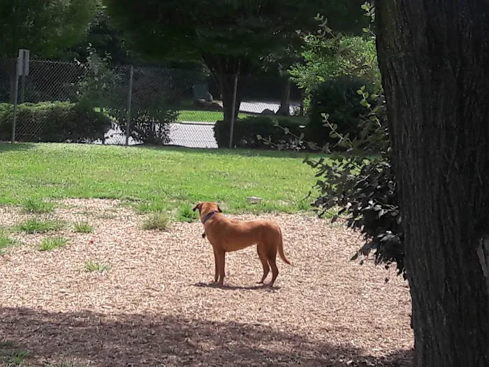 BARC Park 8
