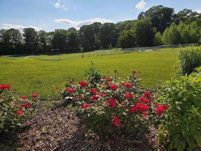 South Carroll Dog Park 7