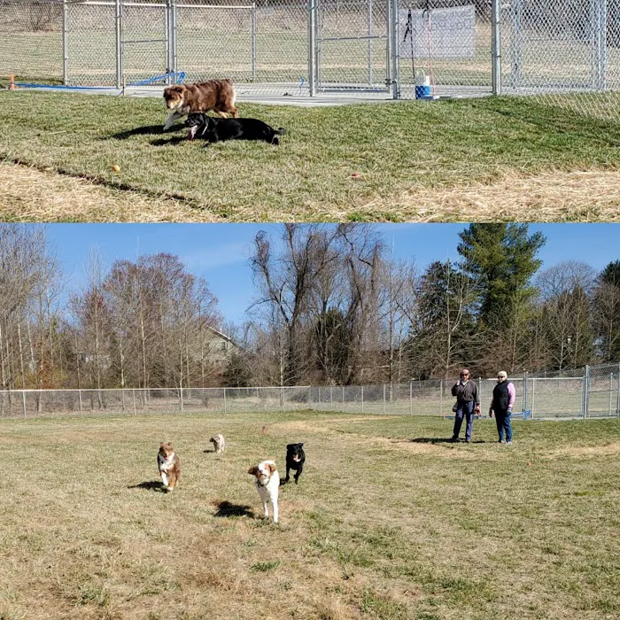 South Carroll Dog Park 10