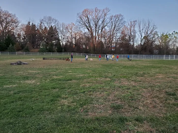 South Carroll Dog Park 8