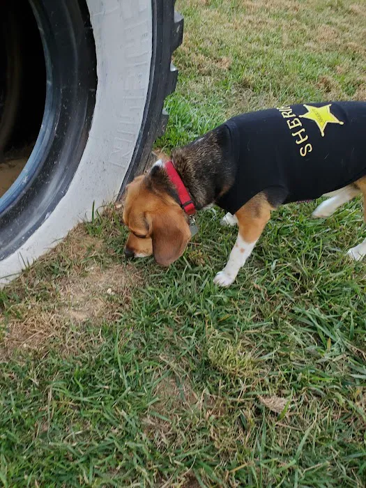 South Carroll Dog Park 6