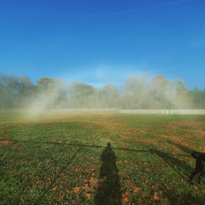 South Carroll Dog Park 4