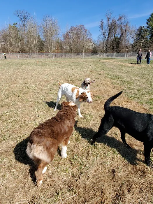 South Carroll Dog Park 3