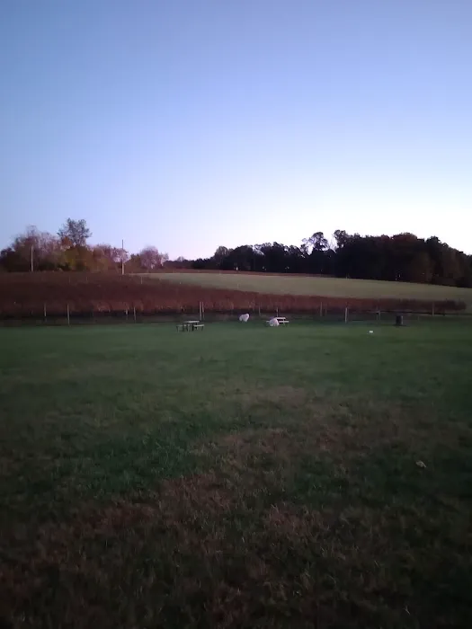 Linganore WineCellars Dog Park 4