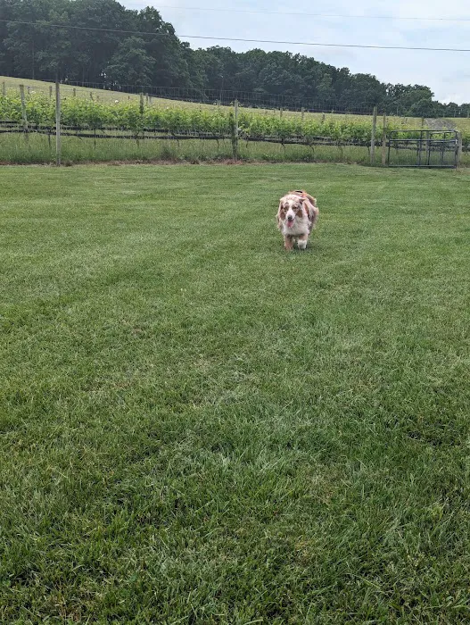 Linganore WineCellars Dog Park 3