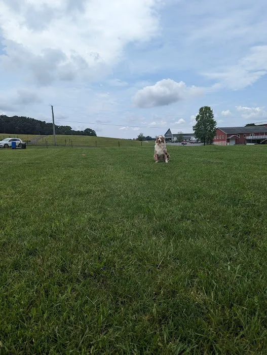 Linganore WineCellars Dog Park 1
