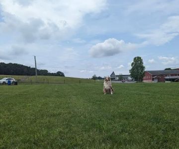 Linganore WineCellars Dog Park