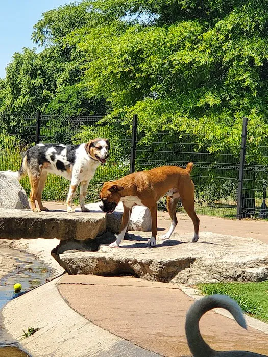 Patterson Dog Park 3
