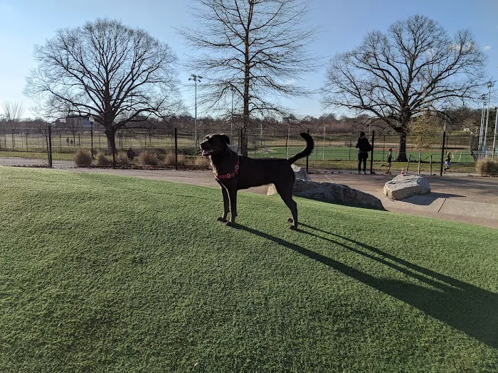 Patterson Dog Park 8