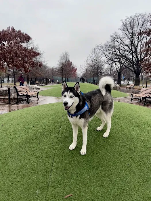 Patterson Dog Park 2