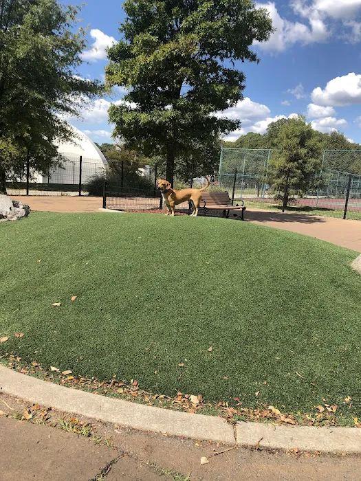 Patterson Dog Park 7
