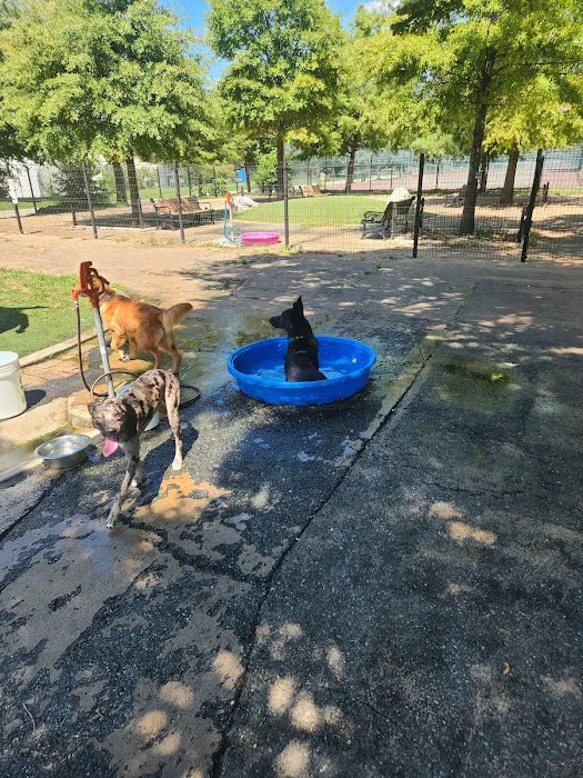 Patterson Dog Park 9