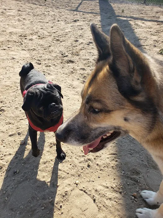 Canton Dog Park 1