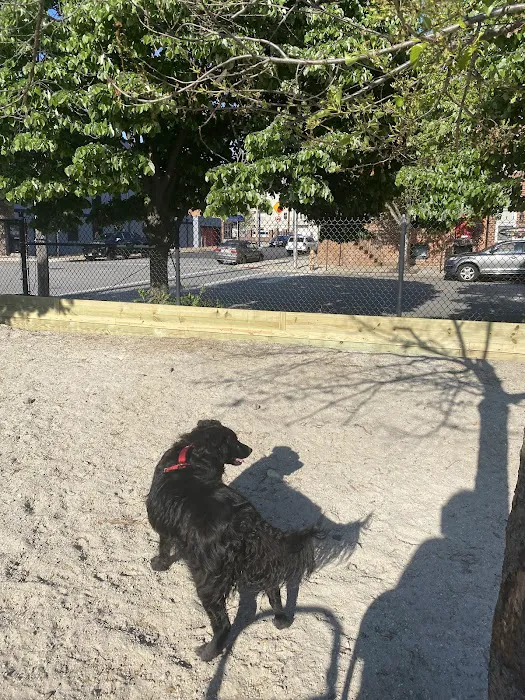 Canton Dog Park 6