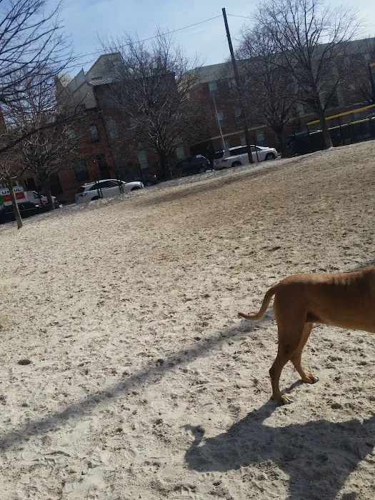 Canton Dog Park 2