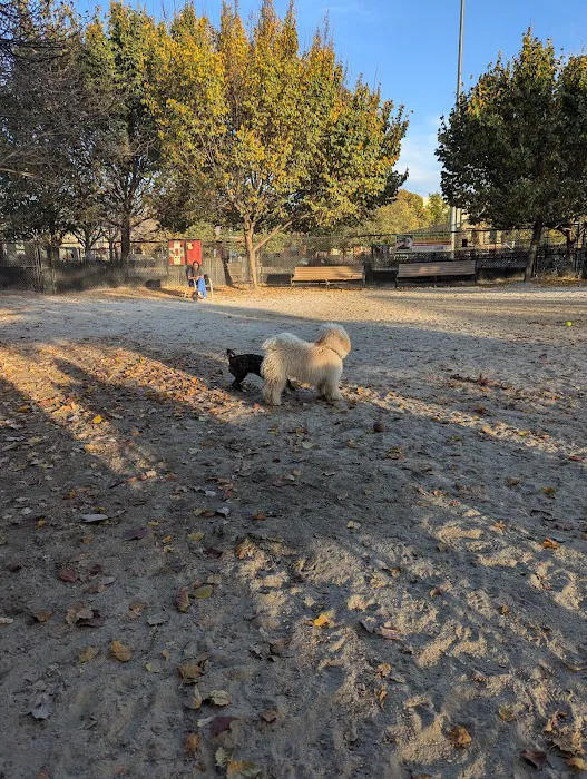 Canton Dog Park 5