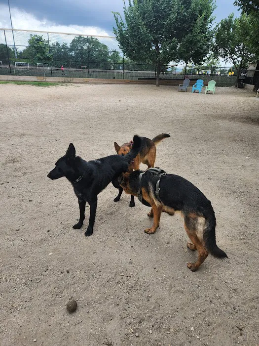 Canton Dog Park 7
