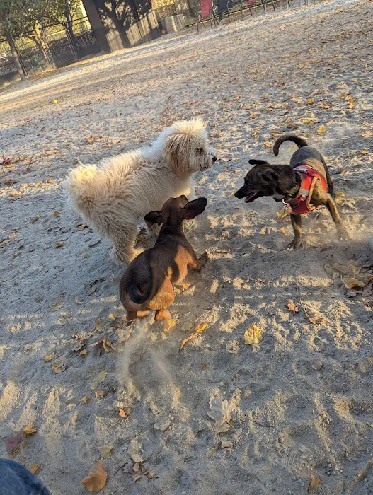 Canton Dog Park 4
