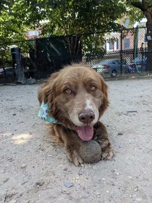 Canton Dog Park 9