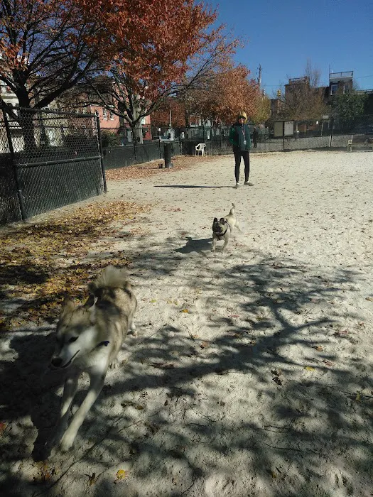 Canton Dog Park 10