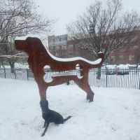 Penny's Park ico