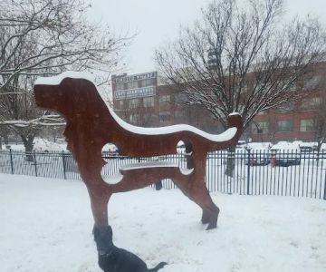Penny's Park